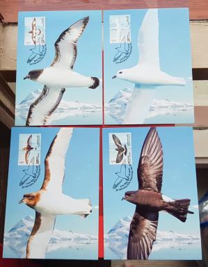 Australian Antarctic Territory 2024 Mexicard on Birds, Complete Set of 4, Fv, $ 10.20