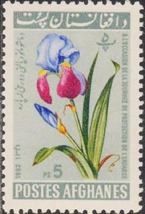 Afghanistan (1962) Iris, Children's Day 1962, 1v MNH Stamp