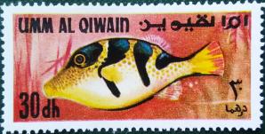 Umm Al Qiwain (1967) Sharpnose Pufferfish, Fishes of The Persian Gulf, 1v MNH Stamp