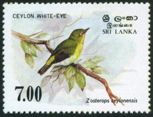 Sri Lanka : 7r Bird - Ceylon White-Eye 1v Stamps MNH 1988