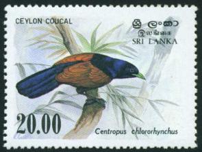 Sri Lanka : 20r Bird - Ceylon Coucal 1v Stamps MNH 1983