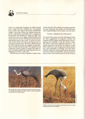 Album Containing 68 WWF Fdcs