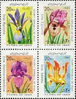 Iran - 1991 New Year - Flowers, 4v MNH Complete Set