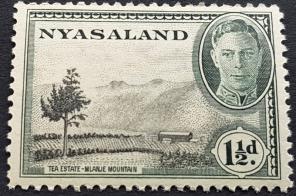 Nyasaland ১৯৪৫ King George Vl - ১½ Penny Tea Estate - Mlanje Mountain, MNH