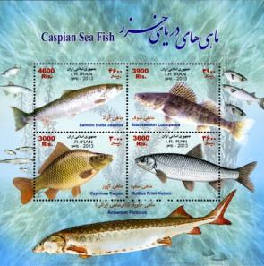 ইরান - ২০১৩ সামুদ্রিক জীবন - Caspian Sea Fish, MNH স্যুভেনির শীট