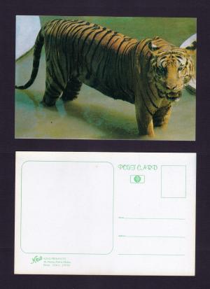 Bangladesh Tiger Unused Private Post Card