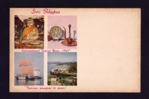 Pakistan PPC Picture Postcard International Tourist Year 30p Dove Unused