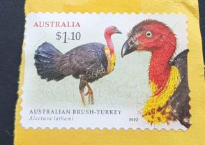 অস্ট্রেলিয়া ২০২২ তুরস্ক ডাকটিকেট Used on Paper
