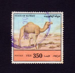 Kuwait 350f Camel Stamps 1992, Used