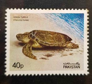 Pakistan 1981 Green Turtle 1v Stamps MNH