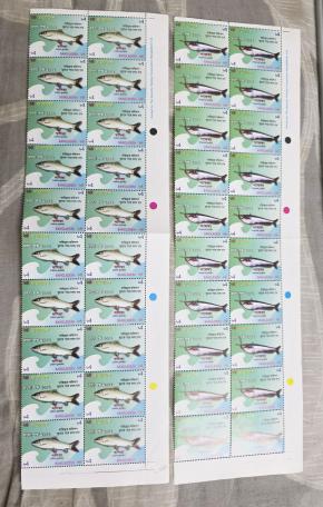 Bangladesh 2002 Fish 2 Block of 20 Stamps with Color Guide & Printer's Name MNH