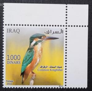 Iraq - 2015 Iraqi Birds, Common Kingfisher, 1v MNH