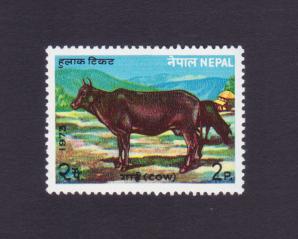 Nepal 1973 2p Cow Stamps MNH