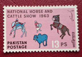 Pakistan 1963 on National Horse and Cattle Show 13ps, MNH