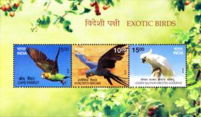 India - 2016 Exotic Birds, MNH Souvenir Sheet 1
