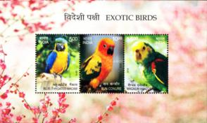 India - 2016 Exotic Birds, MNH Souvenir Sheet 2