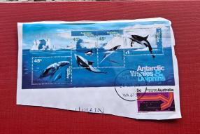 on Paper Stamp Lot Australia: 2