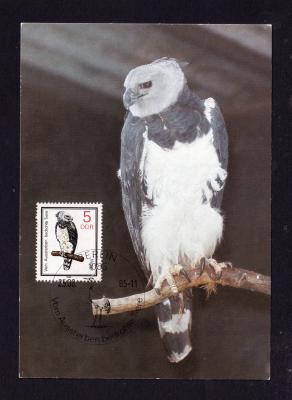East Germany DDR Maxicard on Bird Harpy Eagle 1985